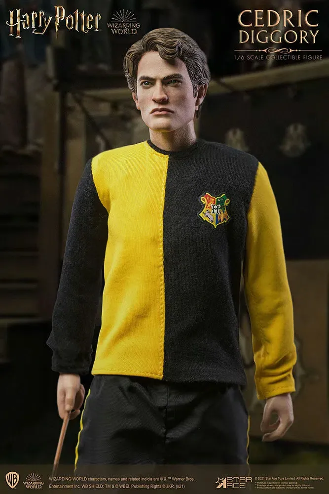 Harry Potter & The Goblet Of Fire: Cedric Diggory: Deluxe: Sixth Scale Figure