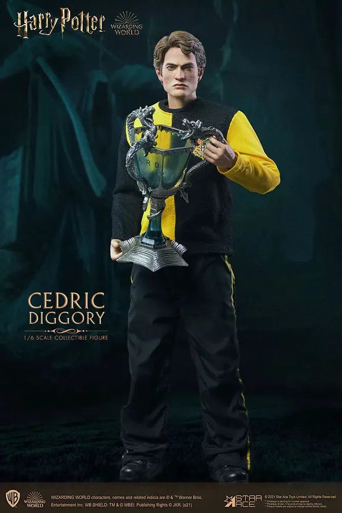 Harry Potter & The Goblet Of Fire: Cedric Diggory: Deluxe: Sixth Scale Figure