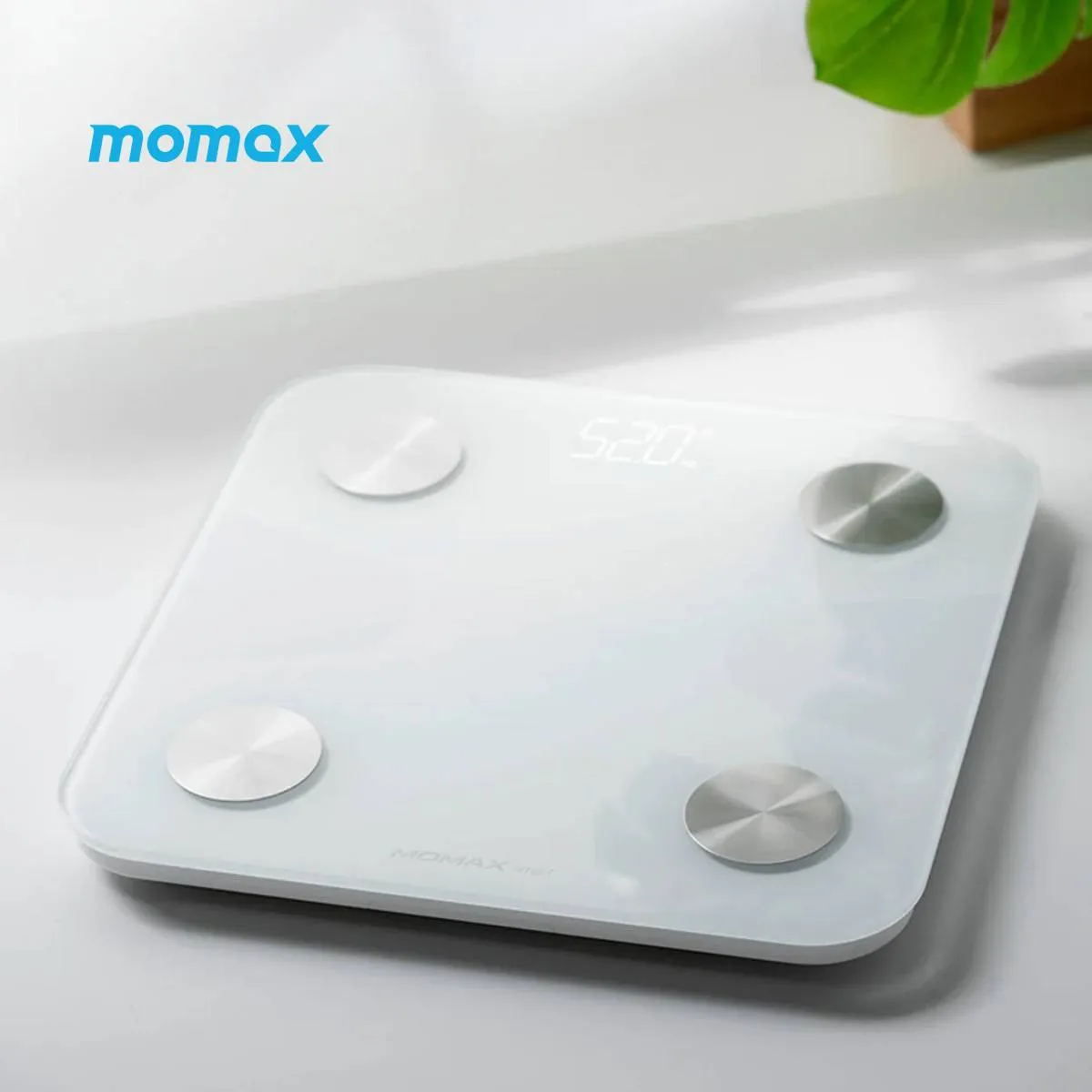 Momax Lite Tracker IoT Smart Body Fat Scale (EW2SW)